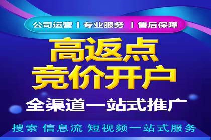 优化SEM广告投放：成功案例分享